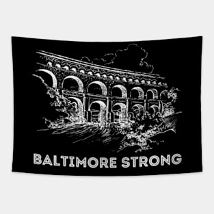 Baltimore-Strong Tapestry