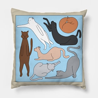 Cat Square Pillow