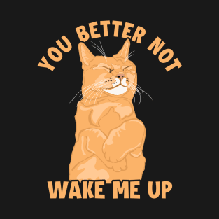 You Better Not Wake Me Up Cat Mom Cat Lovers Funny Cat T-Shirt