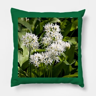 Wild garlic Pillow