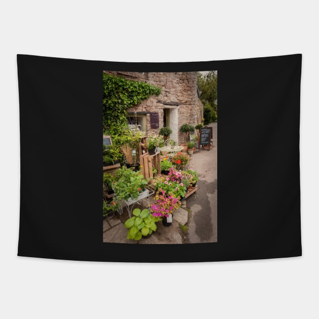 Plants for Sale Tapestry by RJDowns