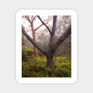 Trees in Mist Magnet