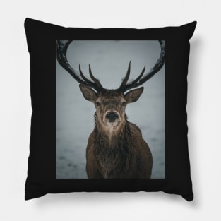 'Winter Stag', Blair Atholl, near Pitlochry. Pillow