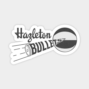 Defunct Hazleton Bullets EBA Basketball 1973 Magnet