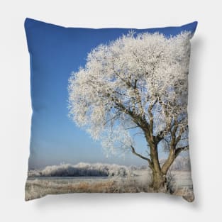 Winter landscape with trees Pillow