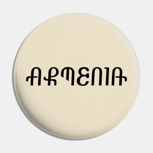 ARMENIA (in Armenian looking font) Pin