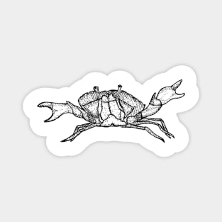 Crab Magnet