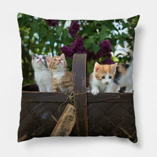 Cute Cats in Basket Pillow