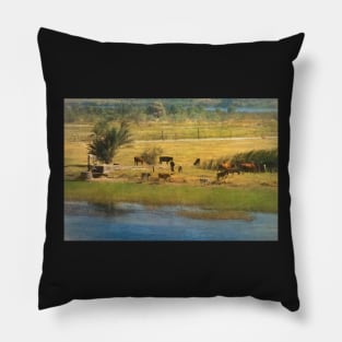 A River Nile Island With Cattle Pillow