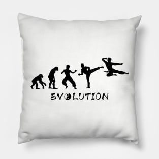 Jeet Kune Do Evolution Pillow