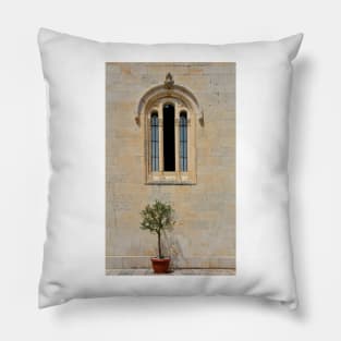 Olive Tree and Church Window Pillow