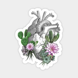 Human heart, succulents plant lovers, Plants lovers gift Magnet