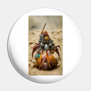 Hermit Crab Stylized 02 Pin