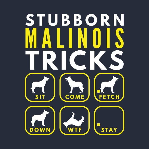 Stubborn Malinois Tricks - Dog Training by DoggyStyles