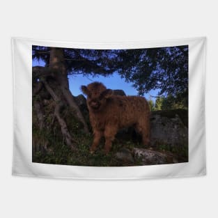 Scottish Highland Cattle Calf 1812 Tapestry