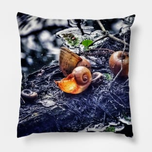 Beautiful Desolation Pillow