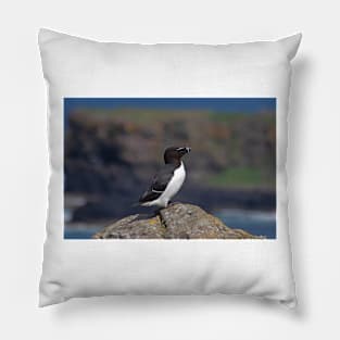 Razorbill on a cliff Pillow