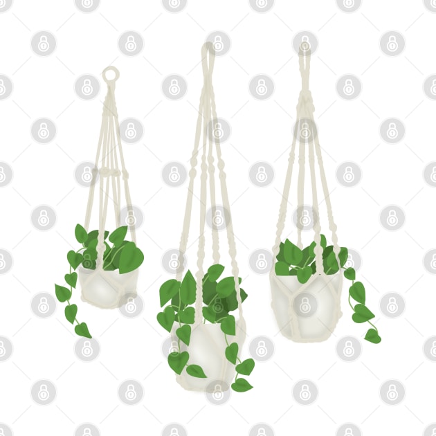 Hanging plants by Becky-Marie