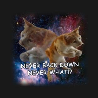 Never Back Down Never What Cat Meme T-Shirt