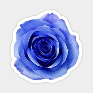 Blue Rose Magnet