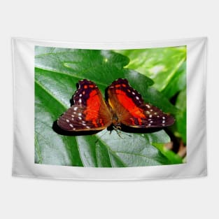 Red Butterfly Tapestry