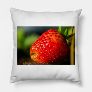 Strawberry hdr Pillow