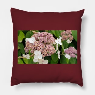 Paris Luxembourg Gardens Flowers Pillow