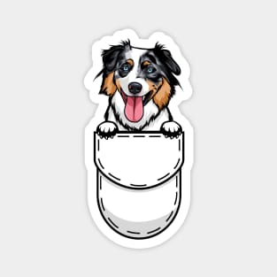 Funny Australian Shepherd Pocket Dog Magnet