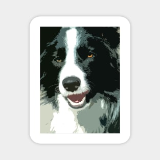 Border Collie Dog Magnet