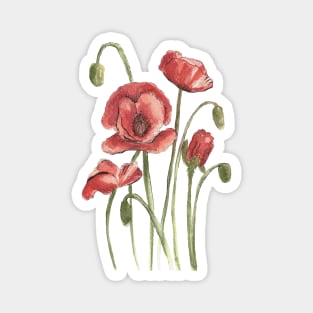 Red Poppy Flowers Watercolor Painting Magnet