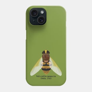 Hornet hoverfly Volucella zonaria. Phone Case