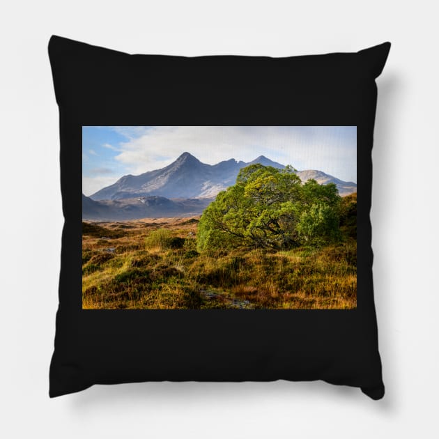 Sgùrr nan Gillean Pillow by jldunbar