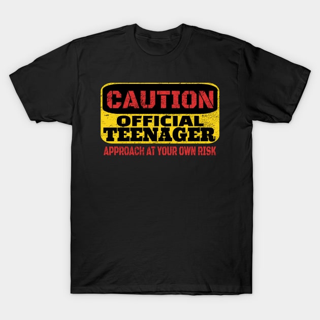 OFFICIAL TEENAGER 13th Birthday Gift 2006 13 Years Girls T-Shirt OFFICIAL TEENAGER 13th Birthday Gift 2006 13 Years Girls T-Shirt