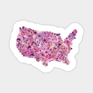 Map of America Magnet