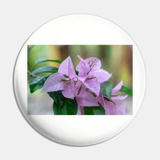 Pink Flower Pin