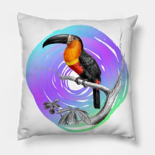 It's summer time: Toucan taxonomy design Pillow