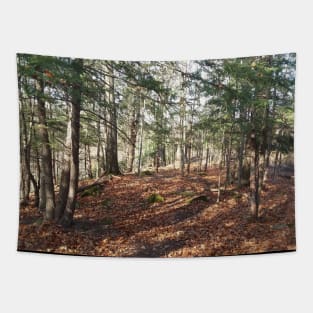 Fairytale forest Tapestry