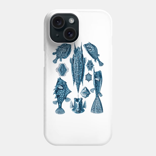 Ernst Haeckel Ostraciontes Fish Prussian Blue Phone Case by Scientistudio