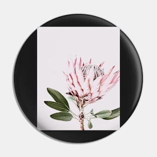 Flowers print, Protea, Pink, Pastel, Fashion print, Scandinavian art, Modern art, Wall art, Print, Minimalistic, Modern Pin