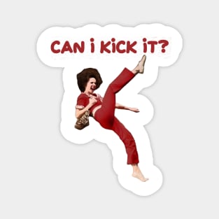 Can i kick it? Sally Omalley Magnet