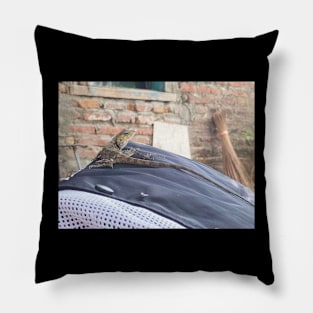 Iguana Photography Pillow