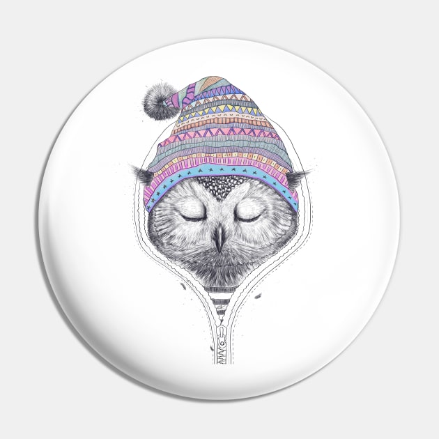 Winter owl Pin by kodamorkovkart