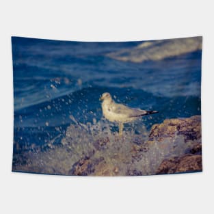 Solitary Seagull 3 of 3 Tapestry