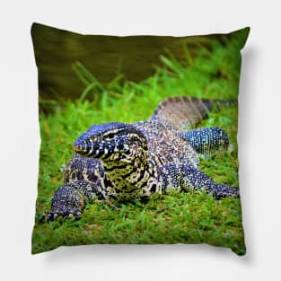 Giant Monitor Lizard Pillow