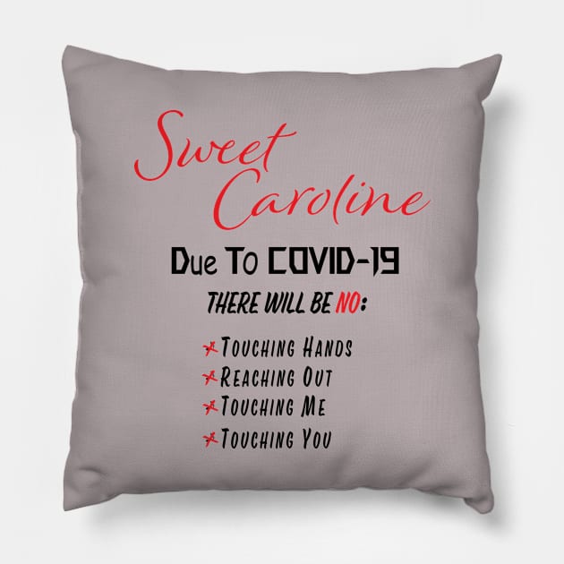 2020 Sweet Caroline Pillow by Saltee Nuts Designs