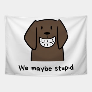 We maybe stupid Tapestry