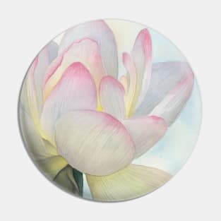 Lily Pin