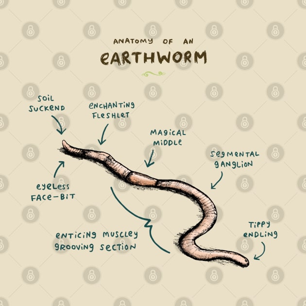 Anatomy of an Earthworm by Sophie Corrigan