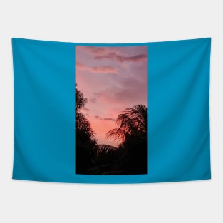 Pink sunset. Tapestry