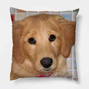 Adorable Golden Retriever Puppy Pillow